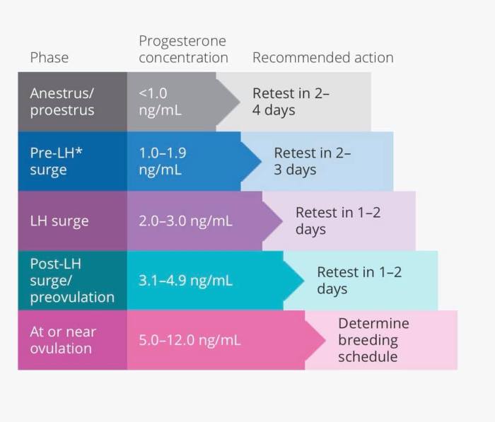 Progesterone ovulation