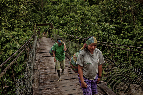 Bentang alam pedesaan berkontribusi baik dengan adaptasi dan mitigasi, menyerap dan menyimpan karbon seraya melindungi dampak perubahan iklim serta memungkinkan para petani memperkaya pilihan mata pencaharian, ujar peneliti dari Pusat Penelitian Kehutanan Internasional. Tomas Munita/CIFOR