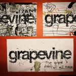 Grapevine-8296