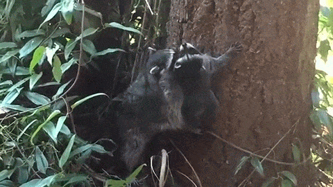Krw8kQ.gif?resize=480%2C270