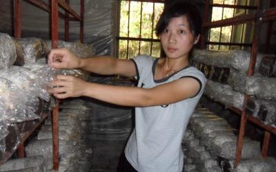 Chinees Mushroom (2)