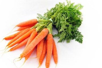 carrot