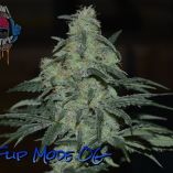 Flip Mode OG