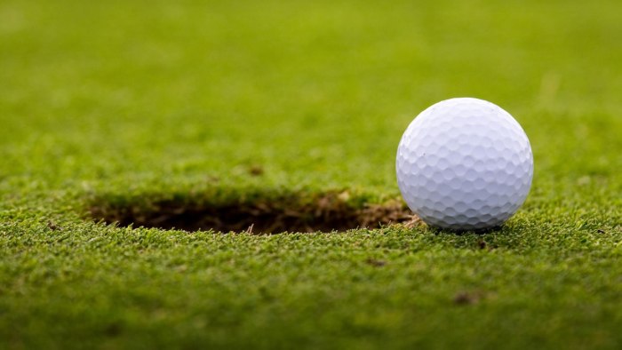 Are golf carts covered under homeowners insurance