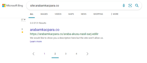 IndexNow Bing Paginated Result IndexNow Bing Paginated Result