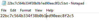 IndexNow API Key in TXT File IndexNow API Key in TXT File