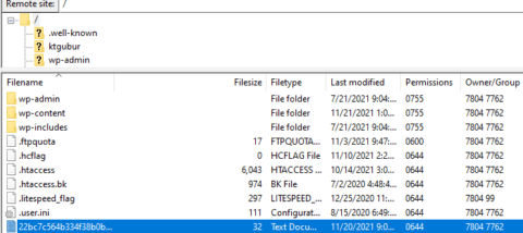Root Server and IndexNow API Set up Root Server and IndexNow API Set up