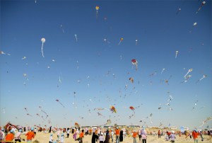 Guinness Record Breaking Event in Gaza, Photo by Eman Mohammed