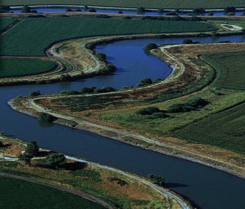 One of many channels snakes its way through the Delta.