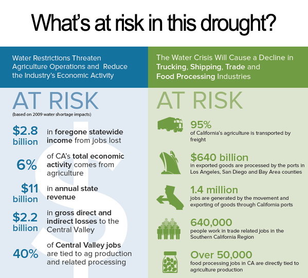 At RIsk In The Drought