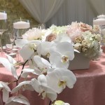Head Table - July 2 Wedding - 4 - Edited-0554