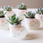 7-succulent-favours