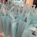 Bridal Show Swag Bags