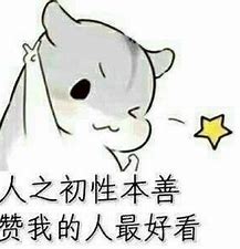 Please add a picture description