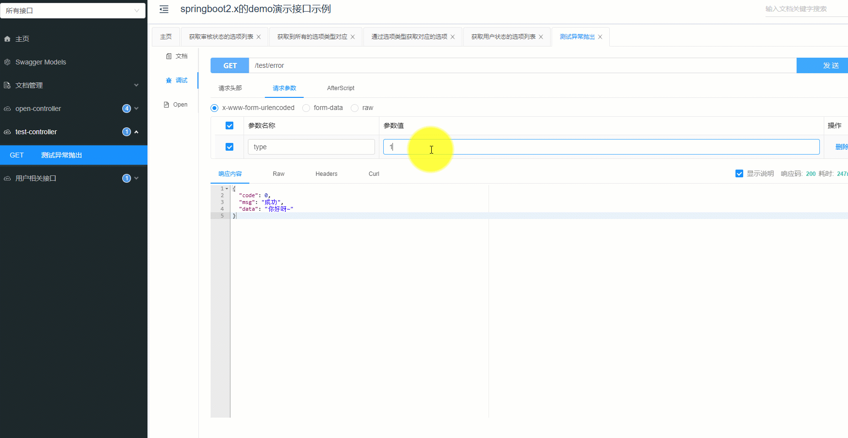 java general exception capture effect display