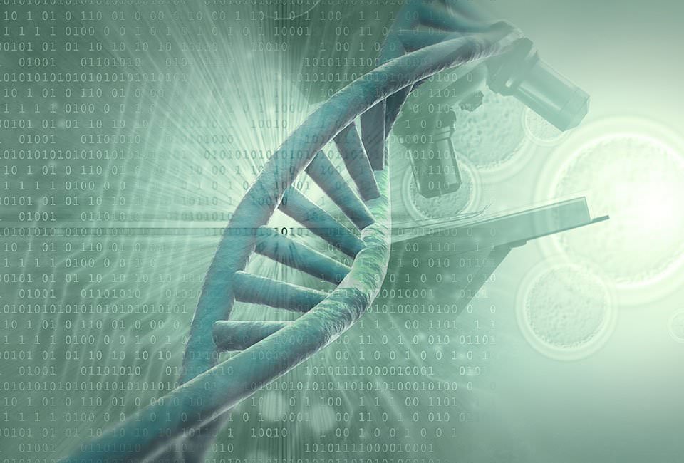 Junk DNA? Or Does It Reveal The Source Of Our Mind & Intelligence?