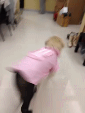 running.gif