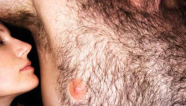 Does More Body Hair Increase Your Intelligence Siowfa16