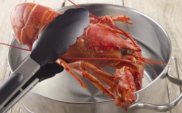 lobster-pot