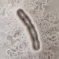 microbe_9
