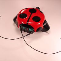beetleBot_2