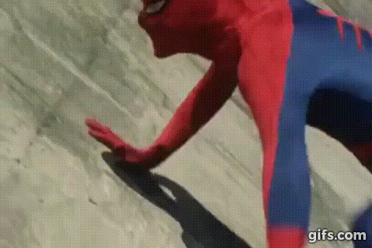 mZPmon.gif?fit=540%2C360