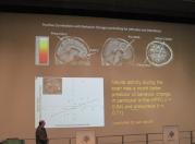 Prof. Victor Lamme