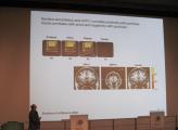 Prof. Victor Lamme