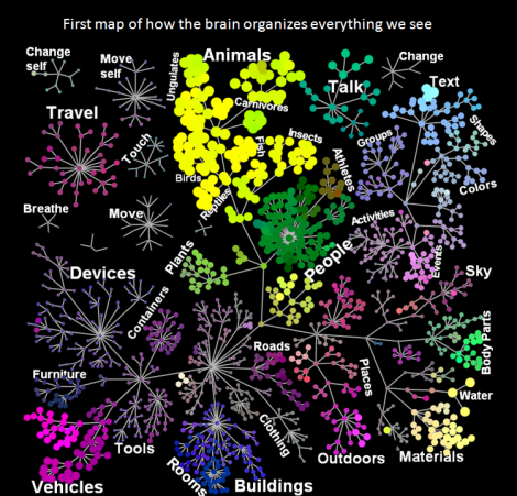 Photo credit: Alexander G. Huth, Shinji Nishimoto, An T. Vu, Jack L. Gallant / Neuron