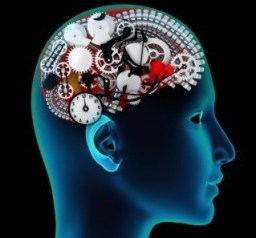 brainmemory