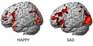 happysadbrainactivity