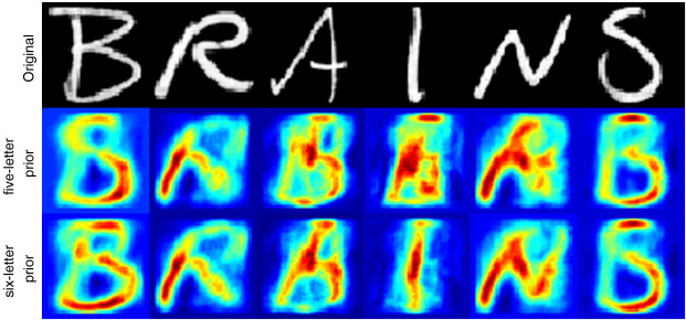 brains