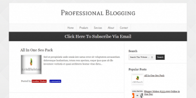 Professional-Blogging-Blogger-Template-410x205