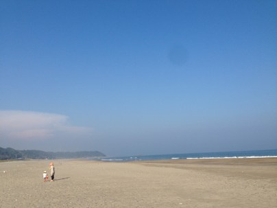 海