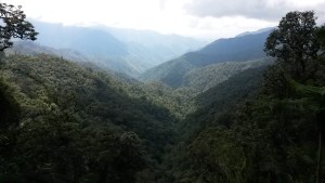 Départ à pied pour 2 jours de trek - traversée de forêts