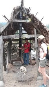 Village originel de Pula - explications du riz et des poulets en cage