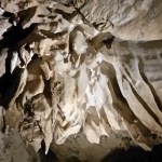 Mulu national park