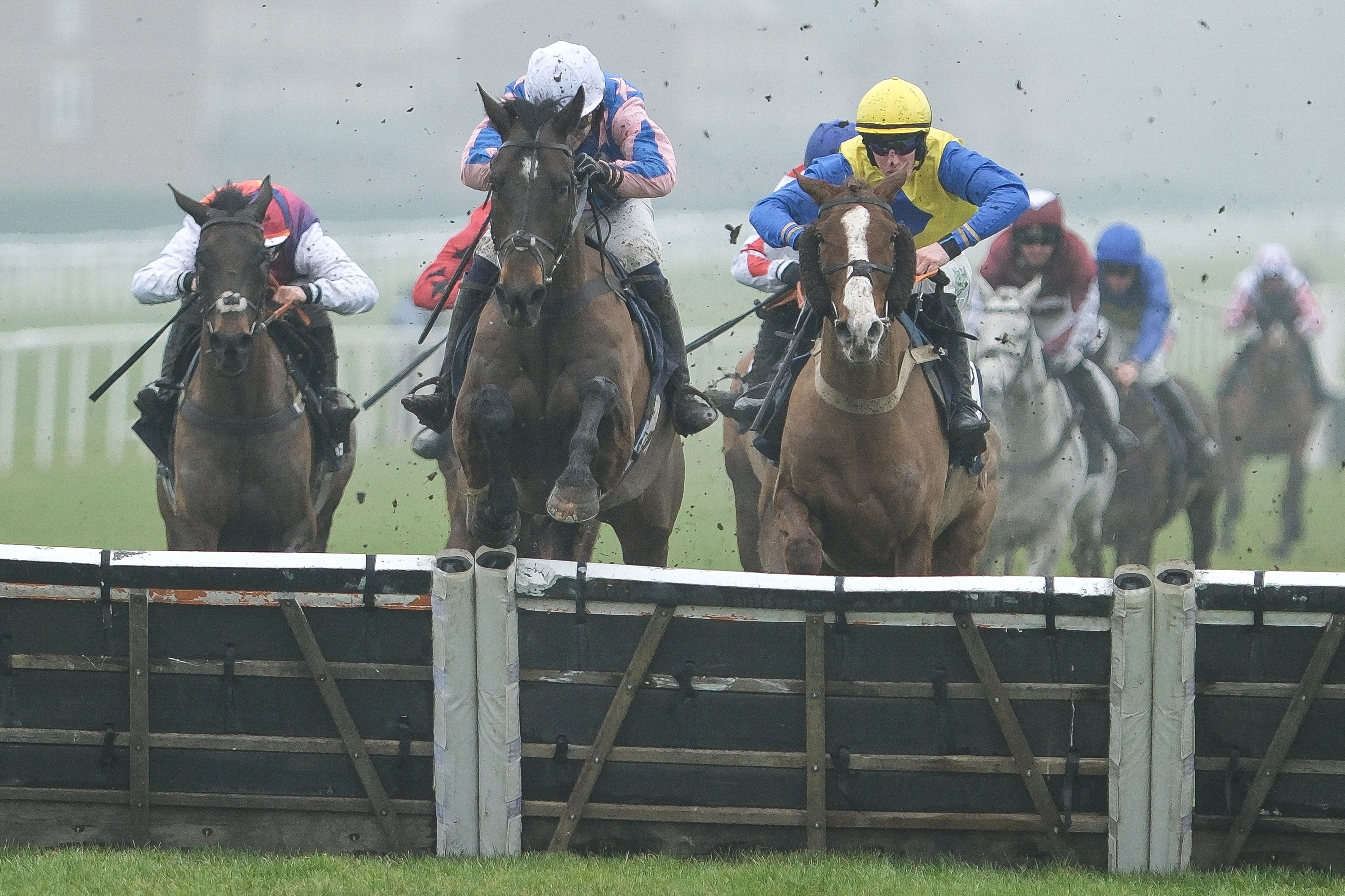 2025 Cheltenham Festival National Hunt Novices’ Chase Tip & Best Bets 2025 Cheltenham Festival National Hunt Novices’ Chase Tip & Best Bets