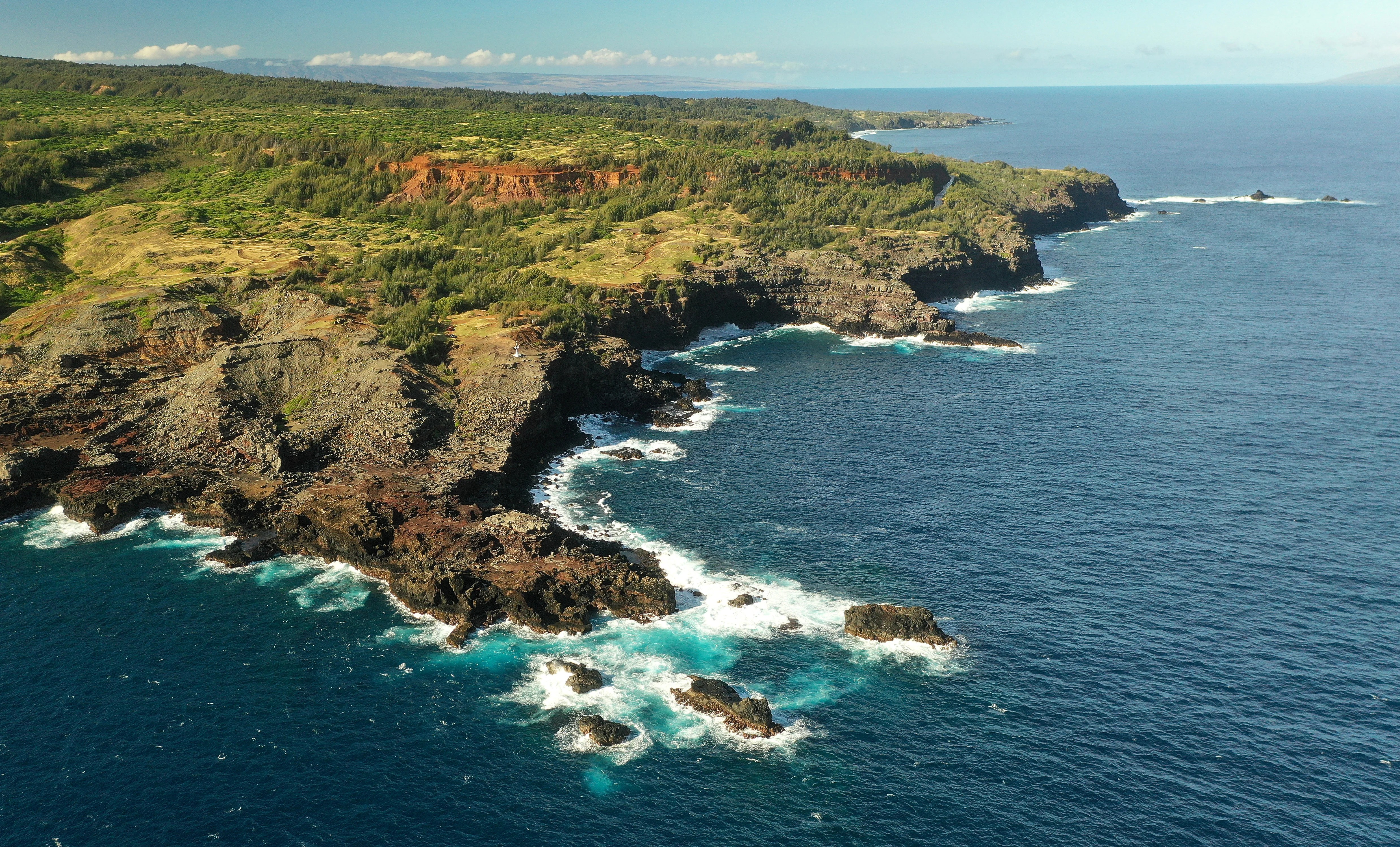 Teenage German tourists deported from Hawaii over ‘suspicious’ hotel booking Teenage German tourists deported from Hawaii over ‘suspicious’ hotel booking