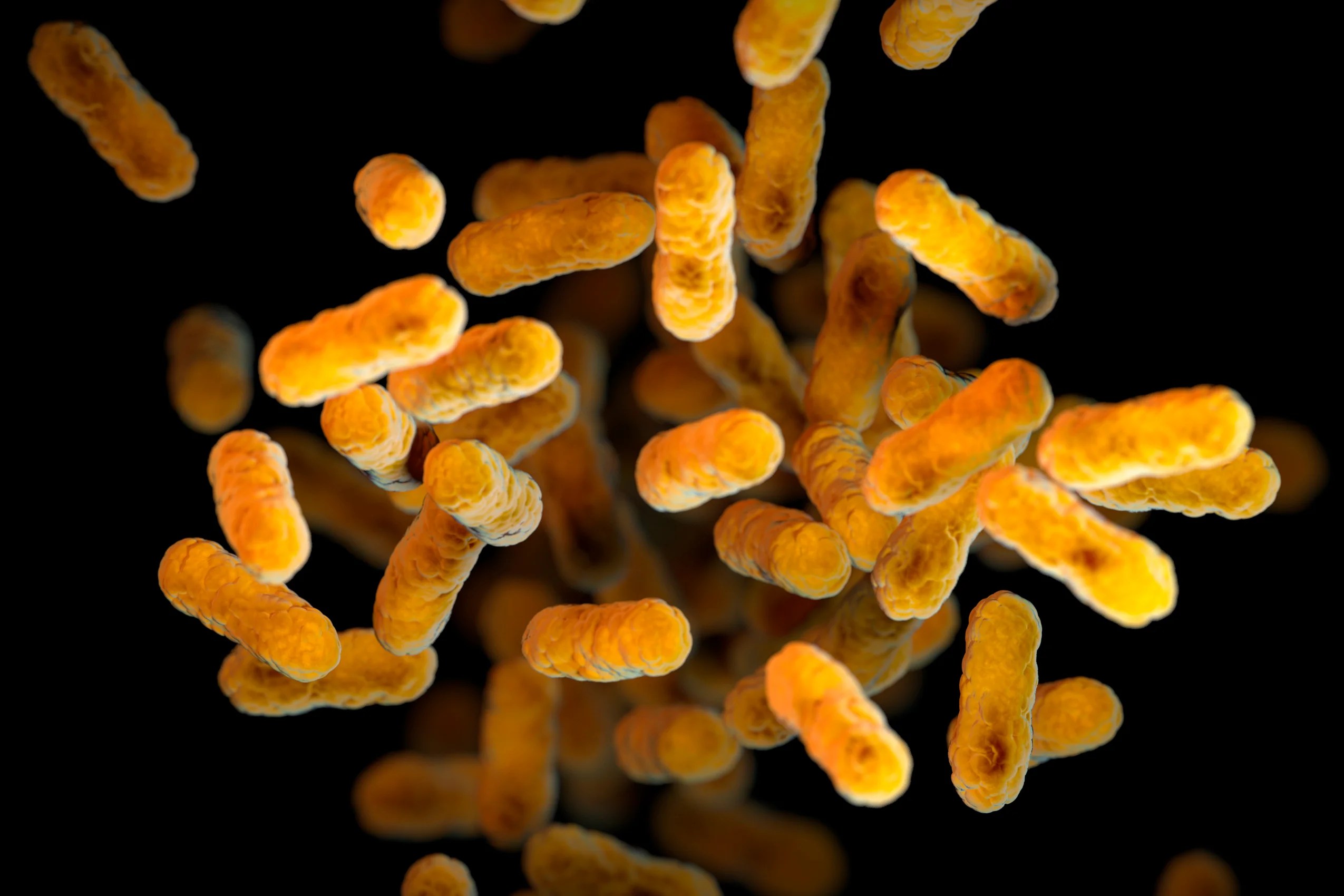 The symptoms to look for as whooping cough cases soar in the US The symptoms to look for as whooping cough cases soar in the US