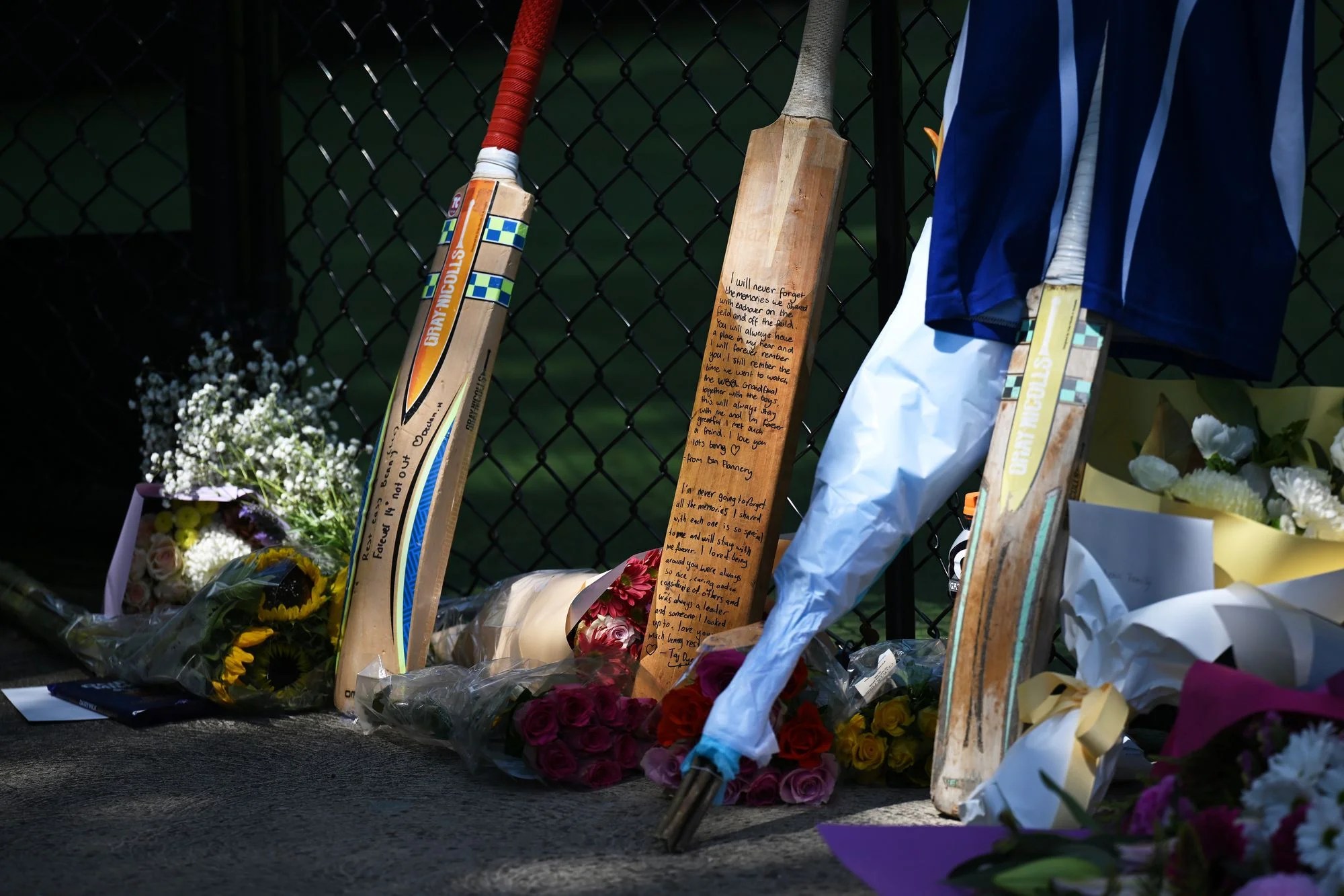 Australian teen cricketer dies after being struck by ball during training session Australian teen cricketer dies after being struck by ball during training session