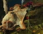 Hot Octopus-on-Octopus Action, Care of the Seattle Aquarium