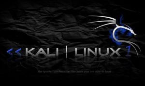 kali linux