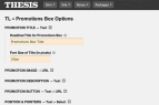 Promo Box Title Options