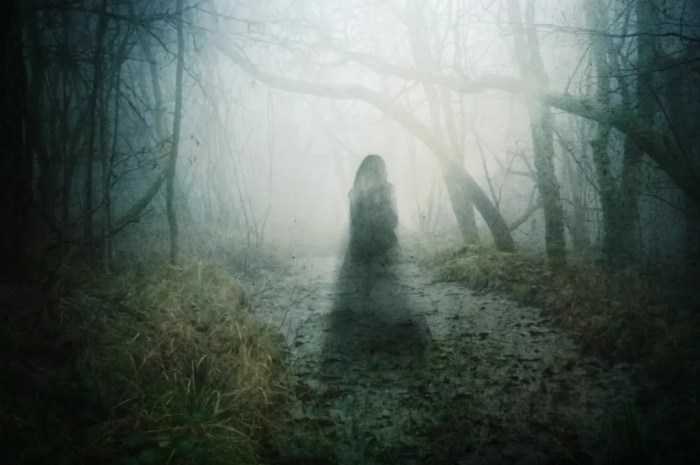 Who is Teresa Fidalgo and is her story true? Everything about it ... Story of teresa fidalgo