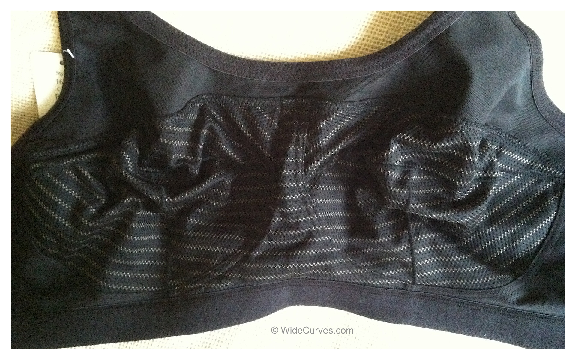 Elila 1620 Microfiber Sports Bra - interior. Image by WideCurves.com.