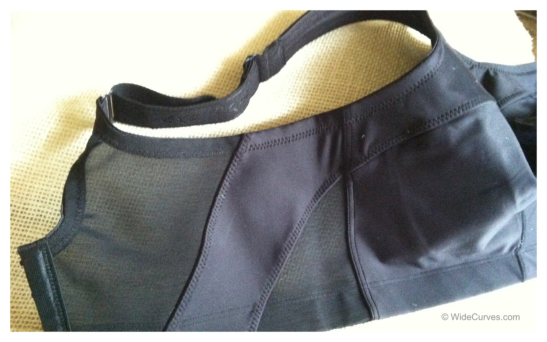 Elila 1620 Microfiber Sports Bra - band detail. Image by WideCurves.com.