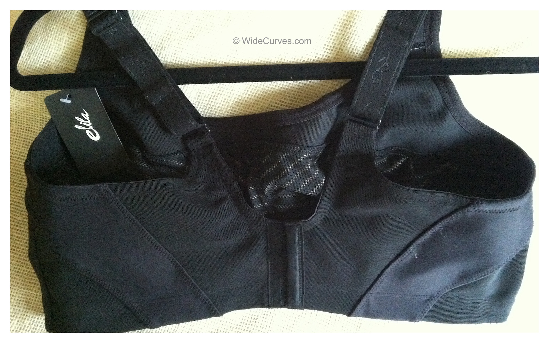 Elila 1620 Microfiber Sports Bra - back. Image by WideCurves.com.
