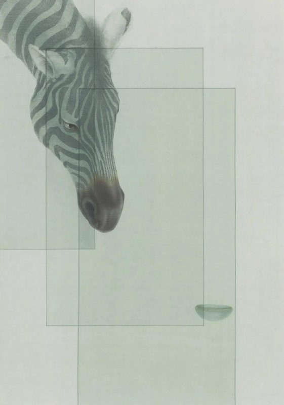 即刻拍_聚合_个体叙事的诗意表达