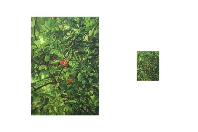 即刻拍_聚合_个体叙事的诗意表达